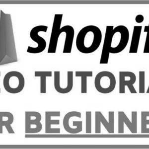 Shopify web optimization Optimization Tutorial For Freshmen |  Step-by-step FREE TRAFFIC