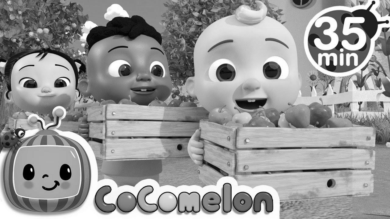 Be taught to Rely with Apples + Extra Nursery Rhymes & Children Songs – CoComelon