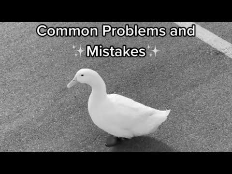 Easy methods to Choose Up a Duck #1 (full video)