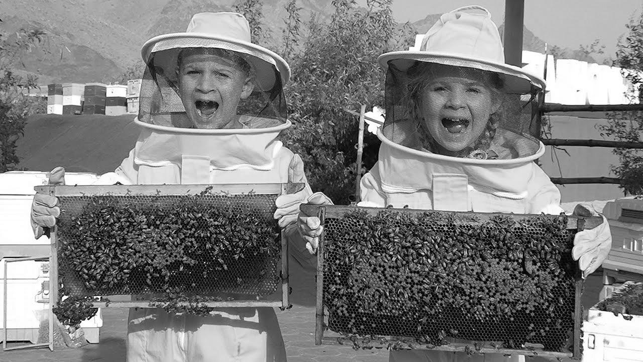 Diana and Roma Study Bees, HATTA Honey Bee Garden Tour – Enjoyable family journey