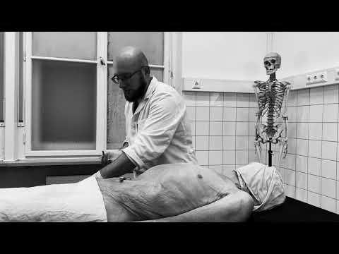 Anatomical preparation – fundamentals technique